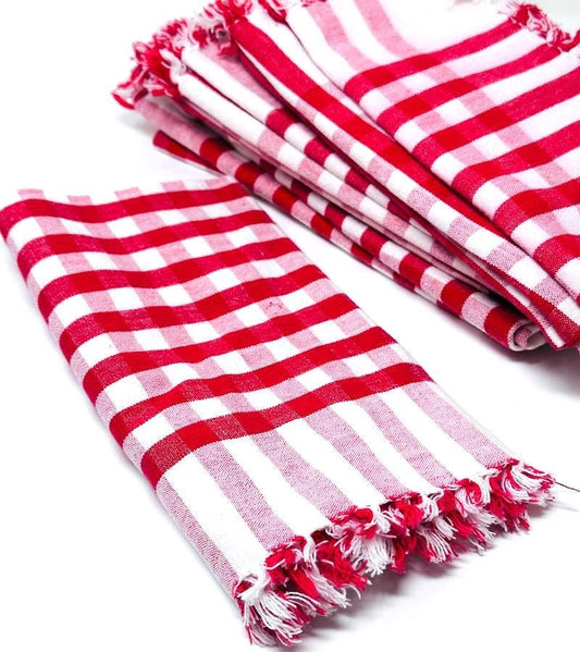 Vintage Woven Napkins Red Picnic Check with Border | Set of Four